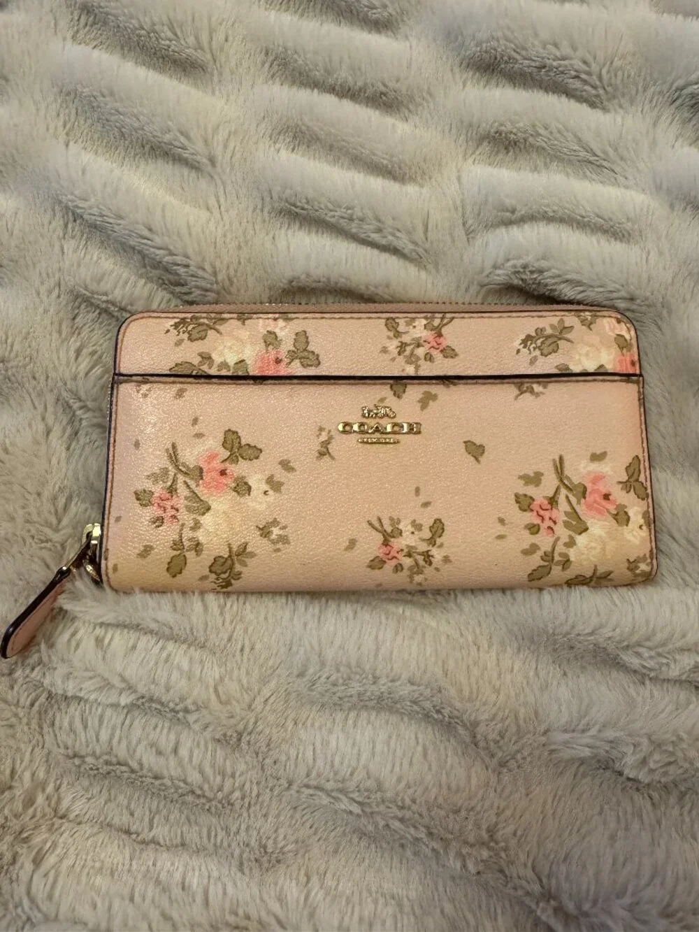 Coach Accordion Zip Wallet with Rose Bouquet Print (89966)